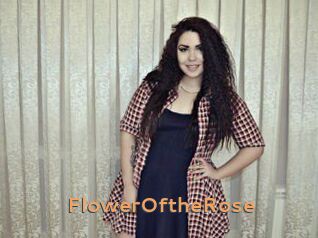 FlowerOftheRose Du Cul A Gogo