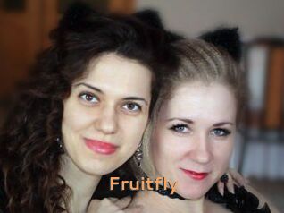 Fruitfly