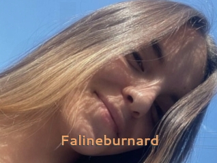 Falineburnard