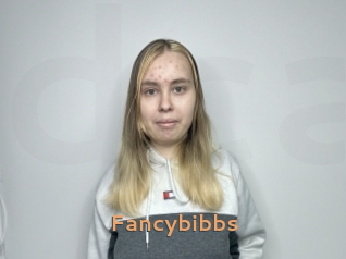 Fancybibbs