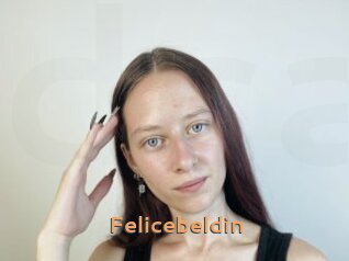 Felicebeldin