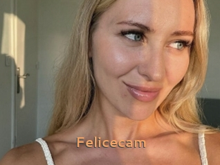 Felicecam
