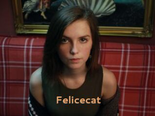 Felicecat
