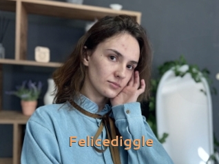 Felicediggle