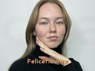Feliceflowers