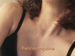 Felinecoquine