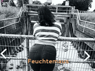 Feuchtemaus