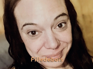 Filledebois
