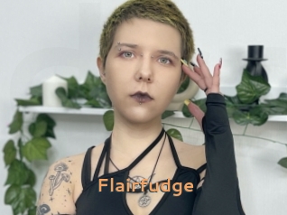 Flairfudge