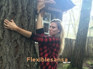 Flexiblesansa
