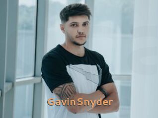 GavinSnyder