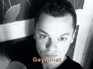 Gayminet