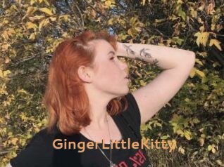 GingerLittleKitty