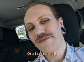 Gatorcatnb