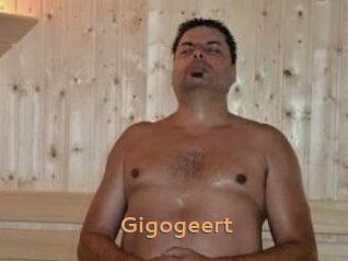 Gigogeert