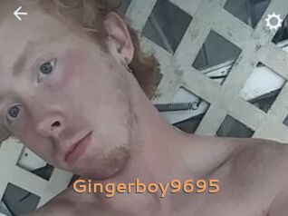 Gingerboy9695