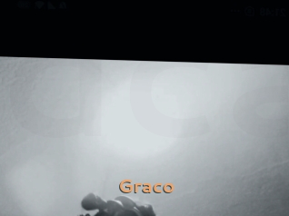 graco Du Cul A Gogo