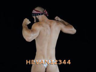 HEVAN12344