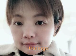 Haringo