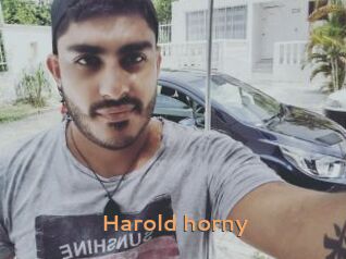 Harold_horny Du Cul A Gogo