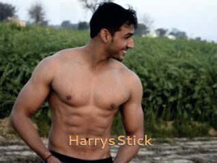 HarrysStick