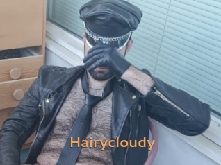 Hairycloudy