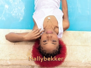 Hallybekker