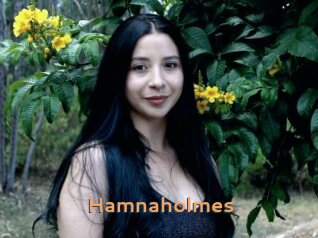 Hamnaholmes