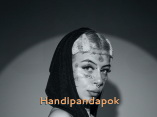 Handipandapok