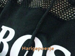 Harigepoesje