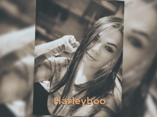 Harleyboo