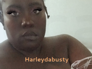 Harleydabusty