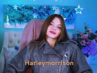 Harleymorrison
