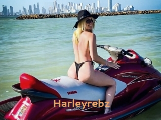 harleyrebz Du Cul A Gogo