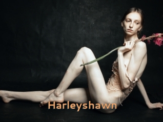 harleyshawn Du Cul A Gogo