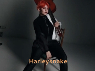 Harleysnake