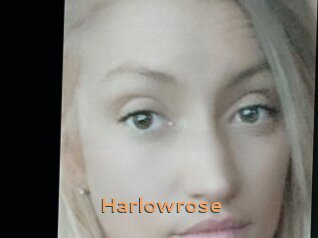 Harlowrose