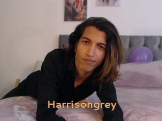 Harrisongrey