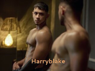Harryblake