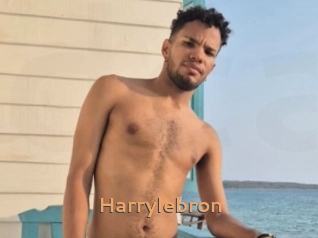 Harrylebron