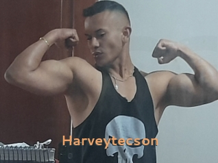 Harveytecson