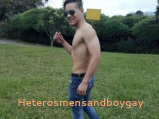 Heterosmensandboygay