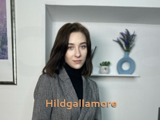 Hildgallamore