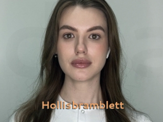 Hollisbramblett