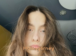 Hollisgarney