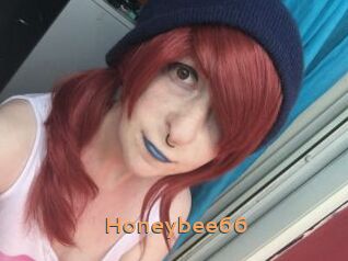 Honeybee66