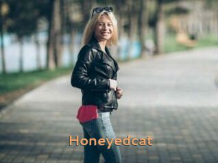 Honeyedcat