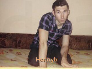 Hornyb