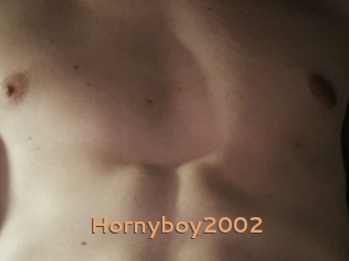 Hornyboy2002