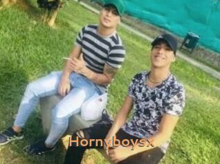 Hornyboysx